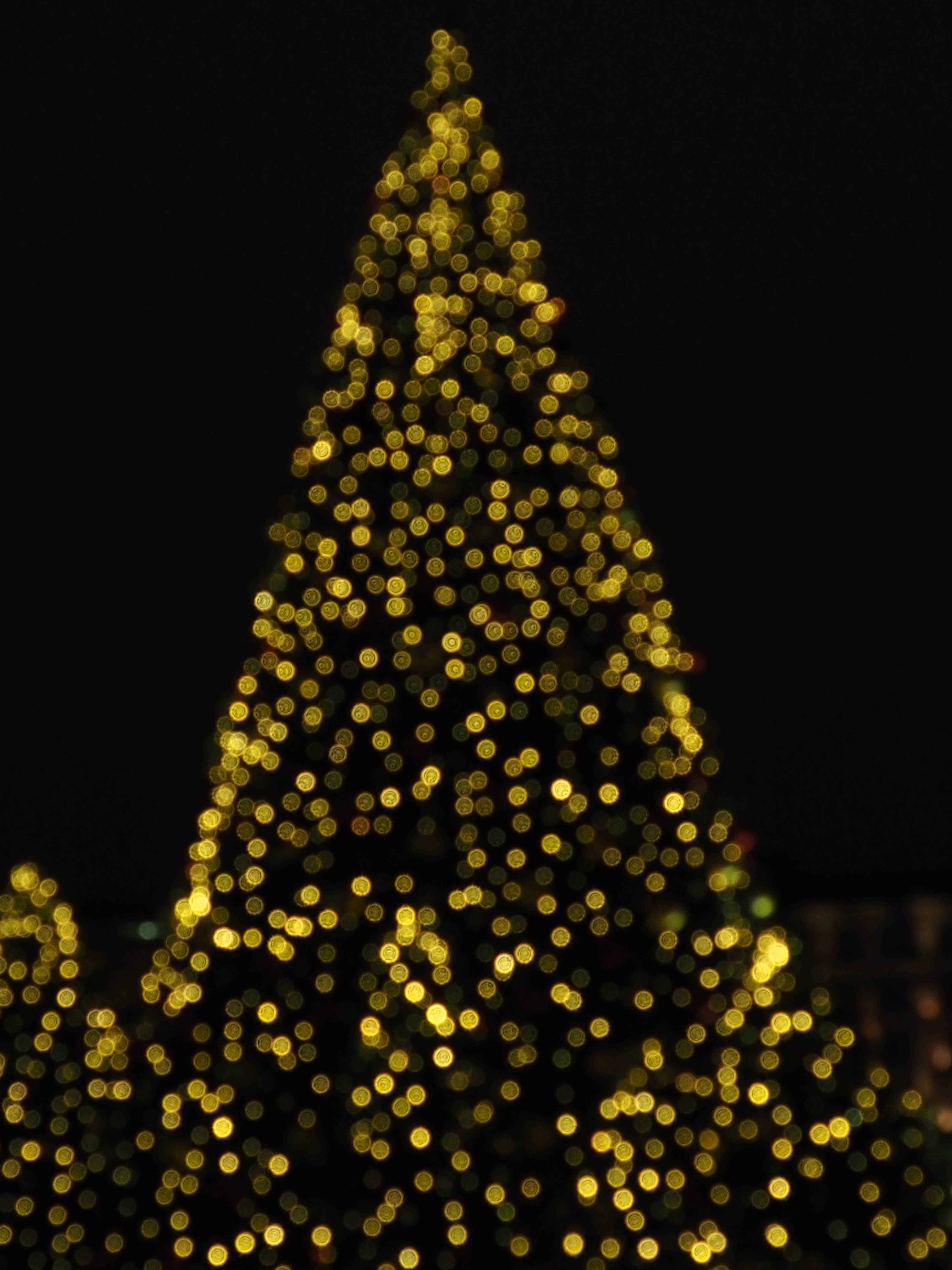 Bokeh Christmas green Tree Lights